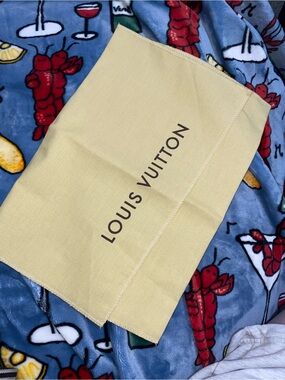 Small LouisVuitton Dust bag